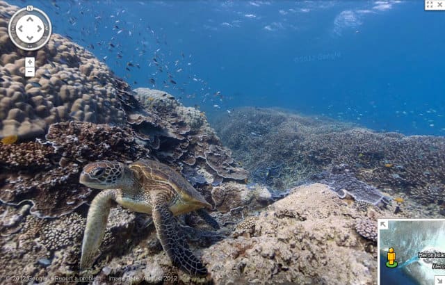 Coral Reef 1