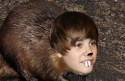 Fun Clip! Justin Beaver