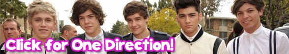 One-Direction-Button