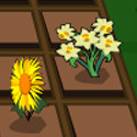Blooming Gardens