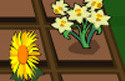 Blooming Gardens