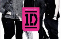 One Direction announce their new book ‘Where We Are’ and show us the cover!