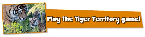 Tiger-Cubs-Button-2014-NEW