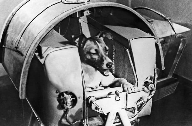 soviet-dog-laika-first-creature-orbit-earth-1957