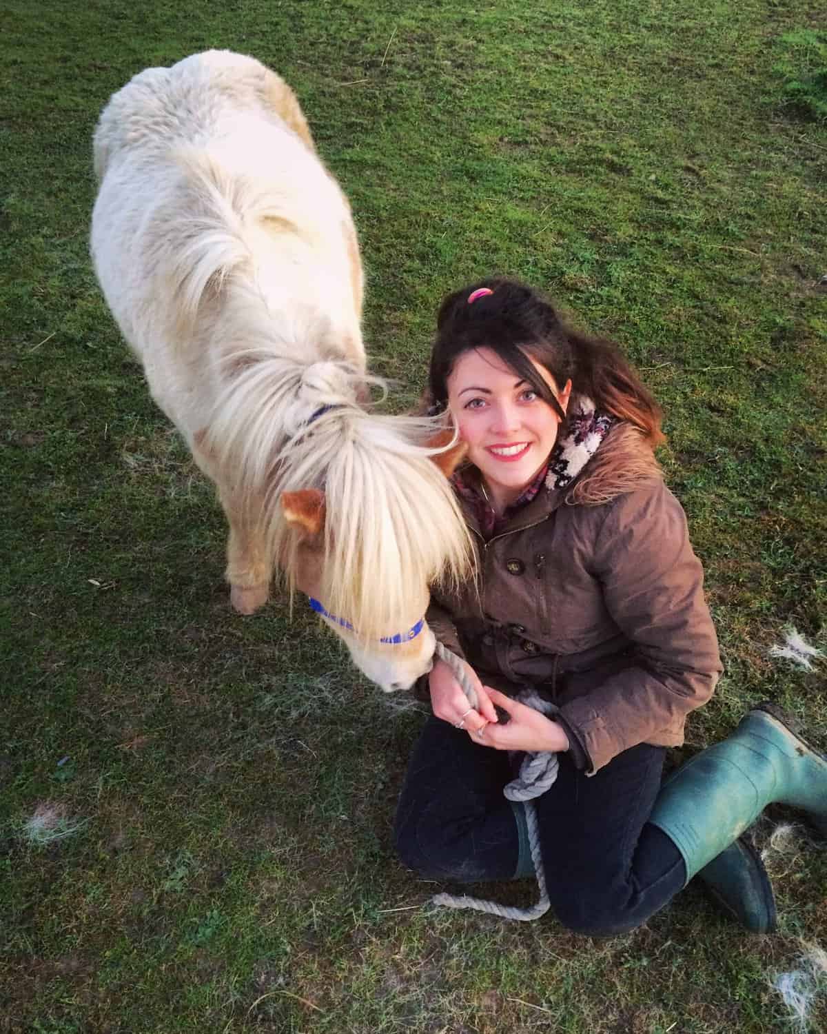 Sitting with Diesel, our other miniature horse to show how small he is!