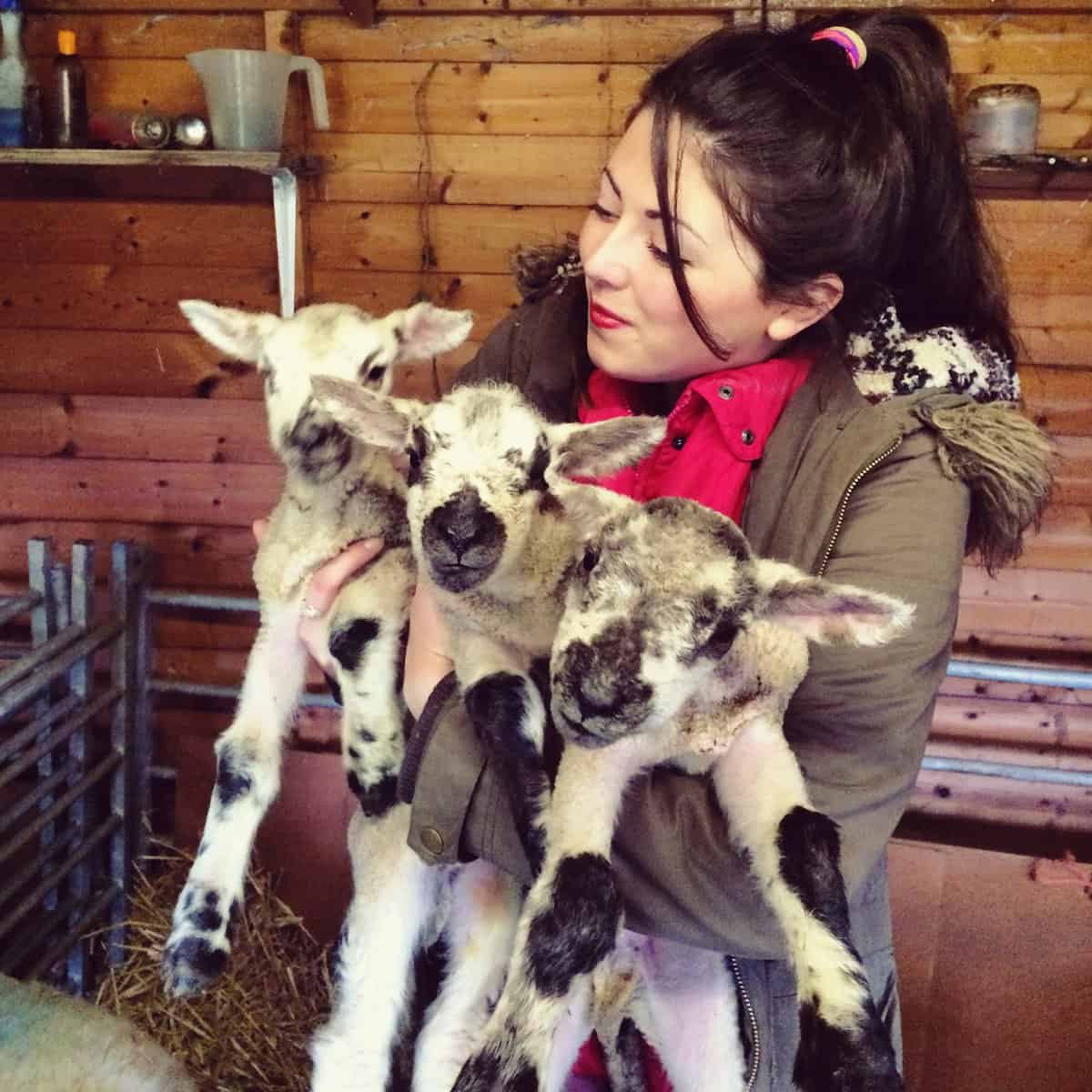 'Team photo'! We brought the triplets into our garden as they were weak and it was cold. I love having cuddles in the garden shed.