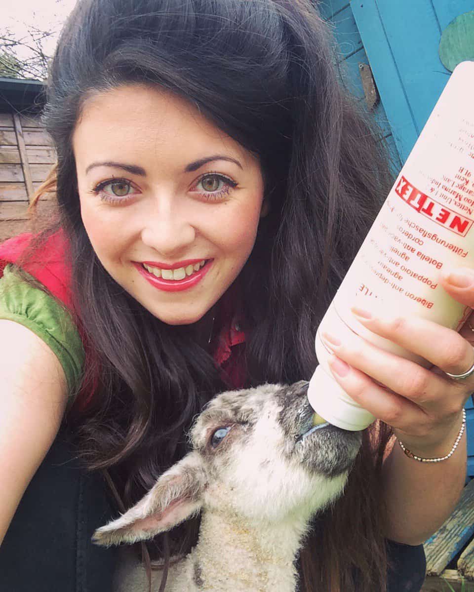 Breakfast time! Bottle feeding the lambs in our garden as their mum doesn't have enough milk to support all 3. 