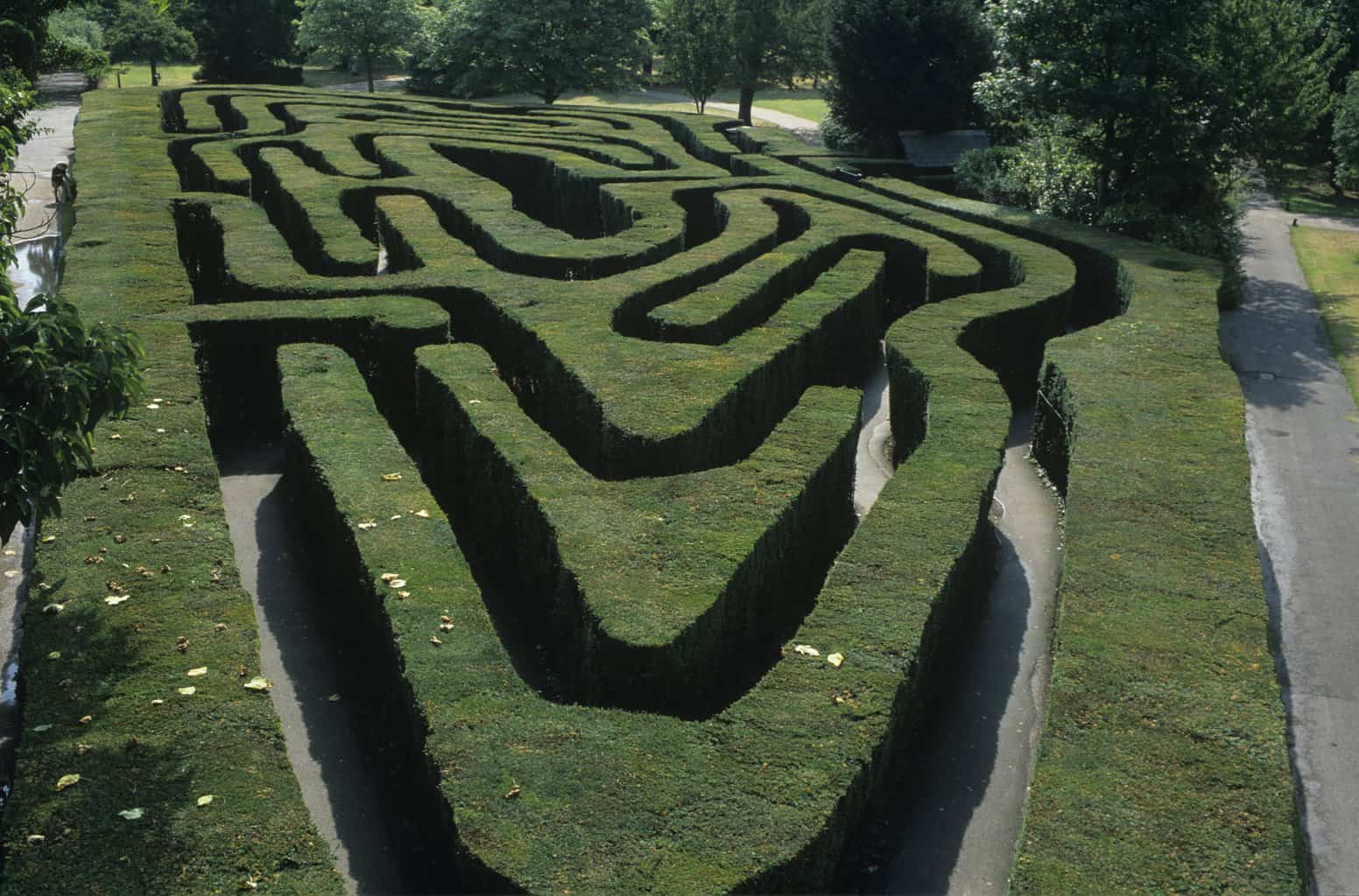 Hampton Court Palace,Photographer: Vivian Russell,The Maze, looking east