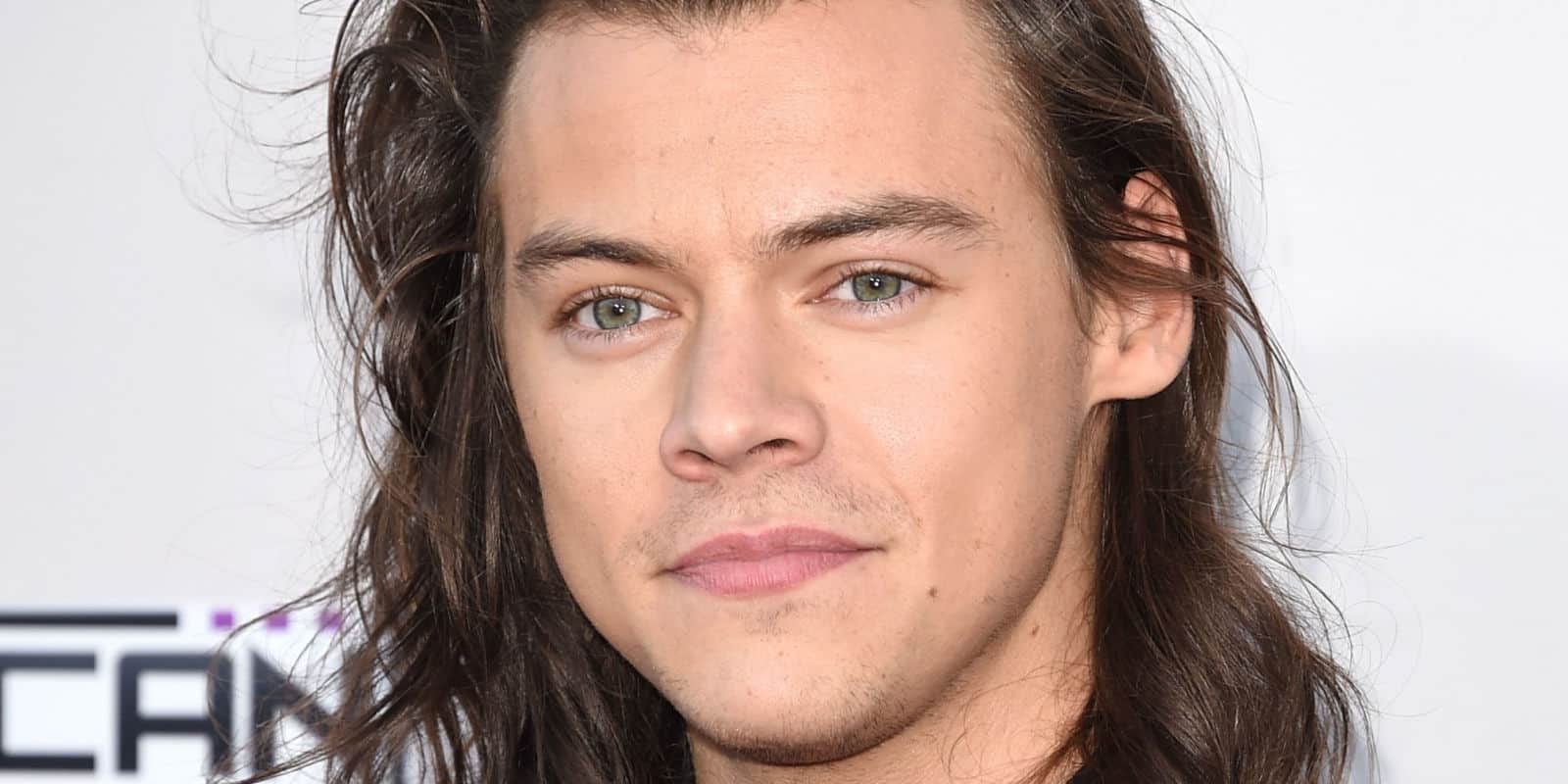 harry-styles-sparks-new-rumours-on-his-sexuality-01