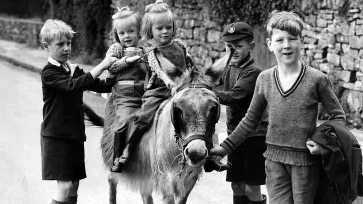 How children helped the war effort in 1916 Fun Kids the UK's