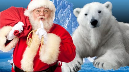 Polar Bears, a festive science hack and how fast does Santa travel? All ...