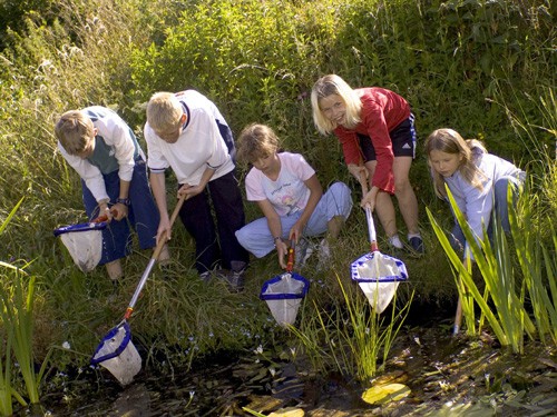 Children-pond-dipping