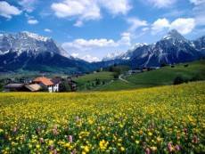 France_France-landscape_4198