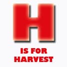 H-LETTER H-LETTER