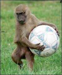Knowsley Safari Park