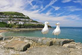 New Quay, West Wales