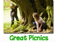 great-picnics-button great-picnics-button