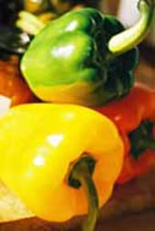 stuffed-peppers stuffed-peppers