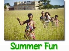 summer-fun-button summer-fun-button