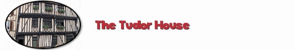 tudor-banner