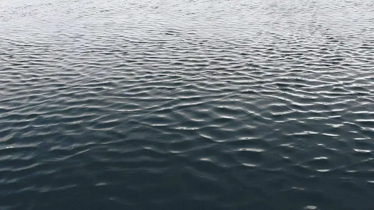 W is for Water