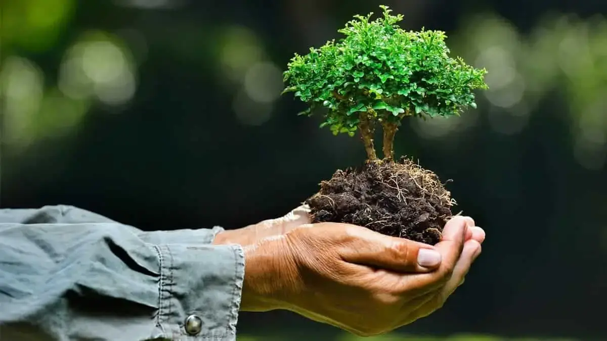 A to Z of Food, Health and the Environment
