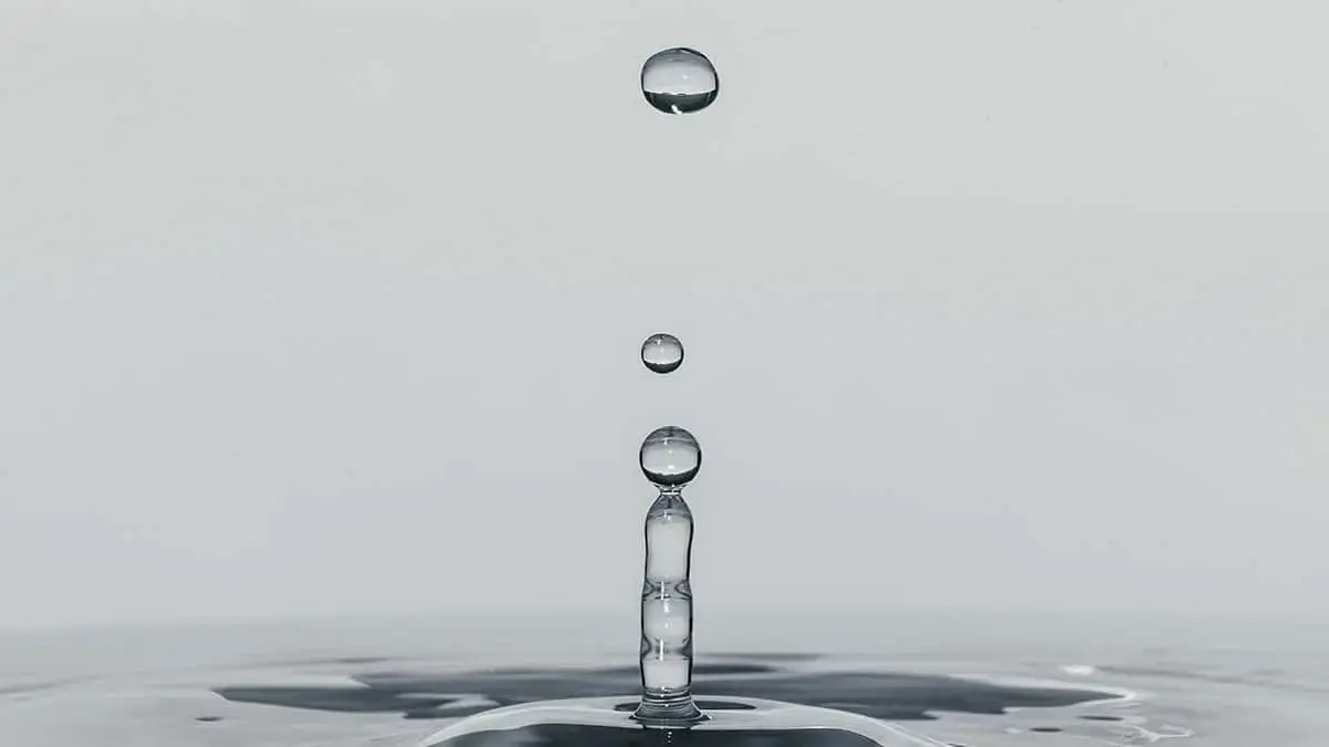Physics Week – Liquids