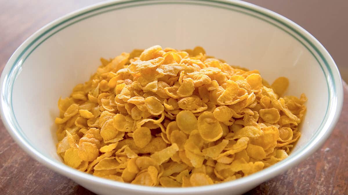 Kareena's Chemistry Extract Iron from your Cereal Experiment Fun Kids the UK's children's