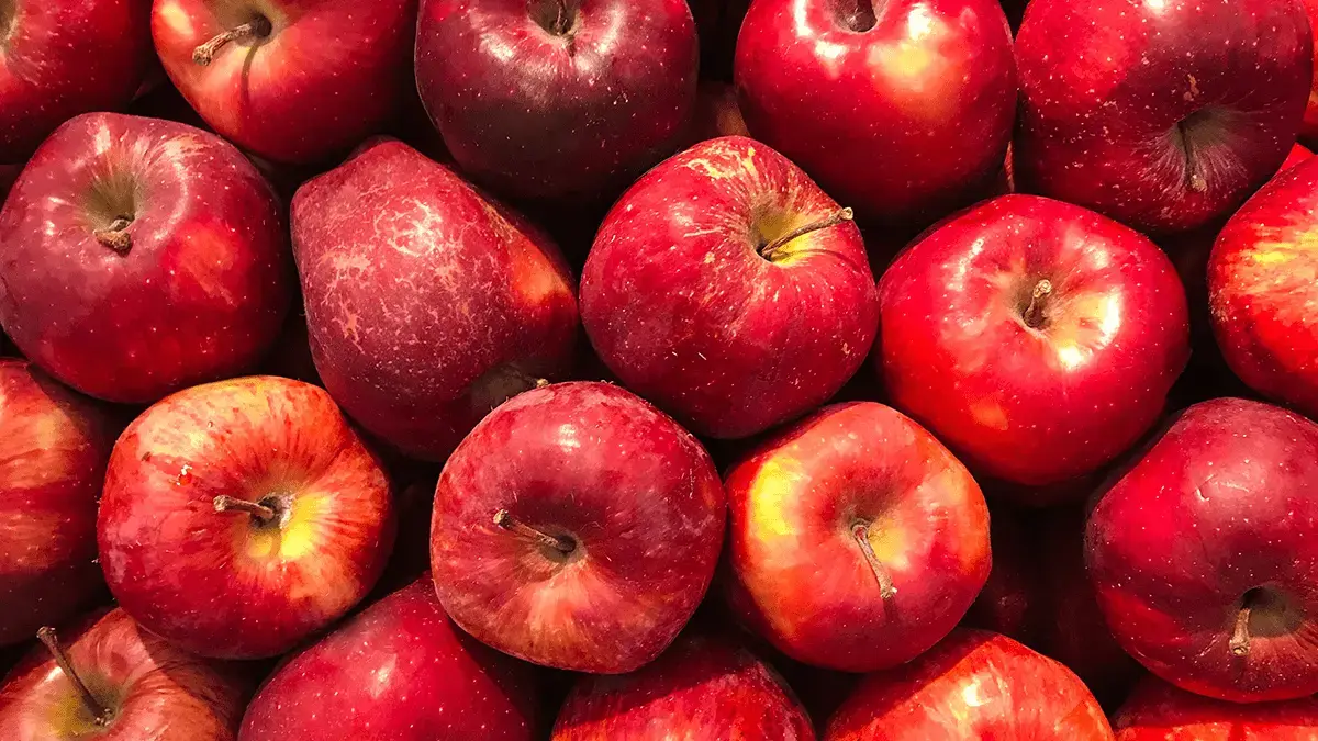 Should kids be forced to eat healthy foods?