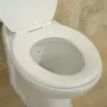 Toilet Seat