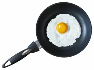 Egg