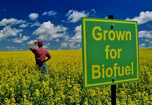 Bio