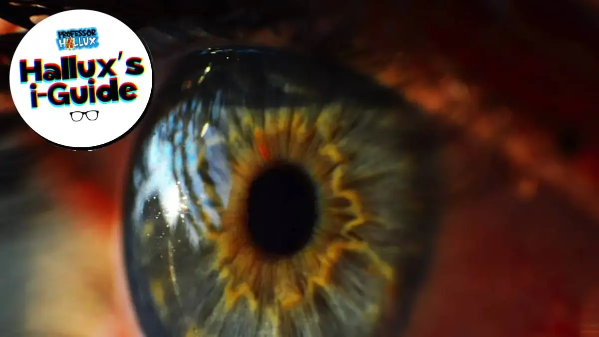 Hallux’s i-Guide: Cornea