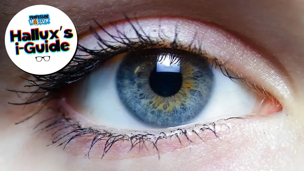 Hallux’s i-Guide: Iris
