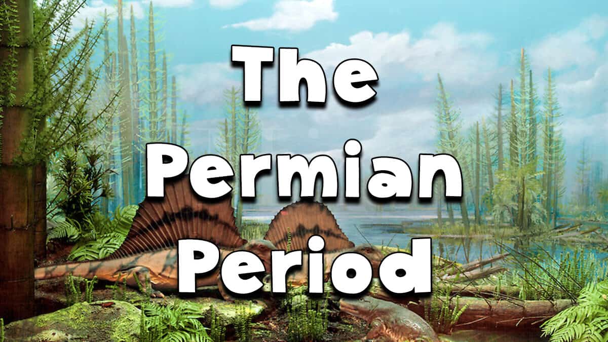 permian period plants
