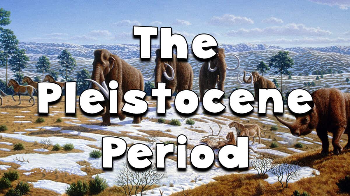 Geology rocks - The Pleistocene Period - Fun Kids - the UK's children's  radio station
