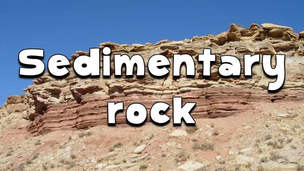 Geology Rocks Sedimentary Rocks Fun Kids the UK's children's