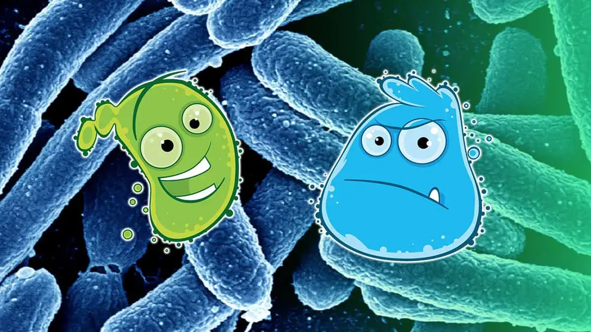 About Bene and Mal’s Bioethics