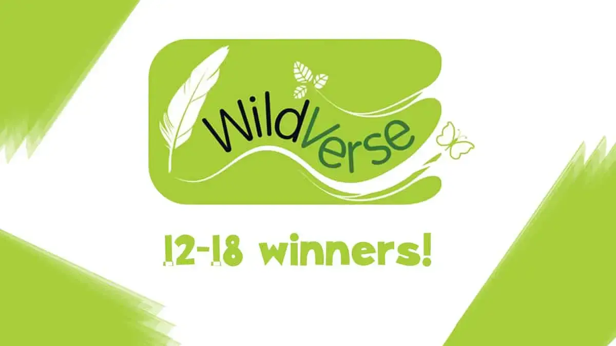 Listen to the winners of Wildverse 2016 12-18s category!