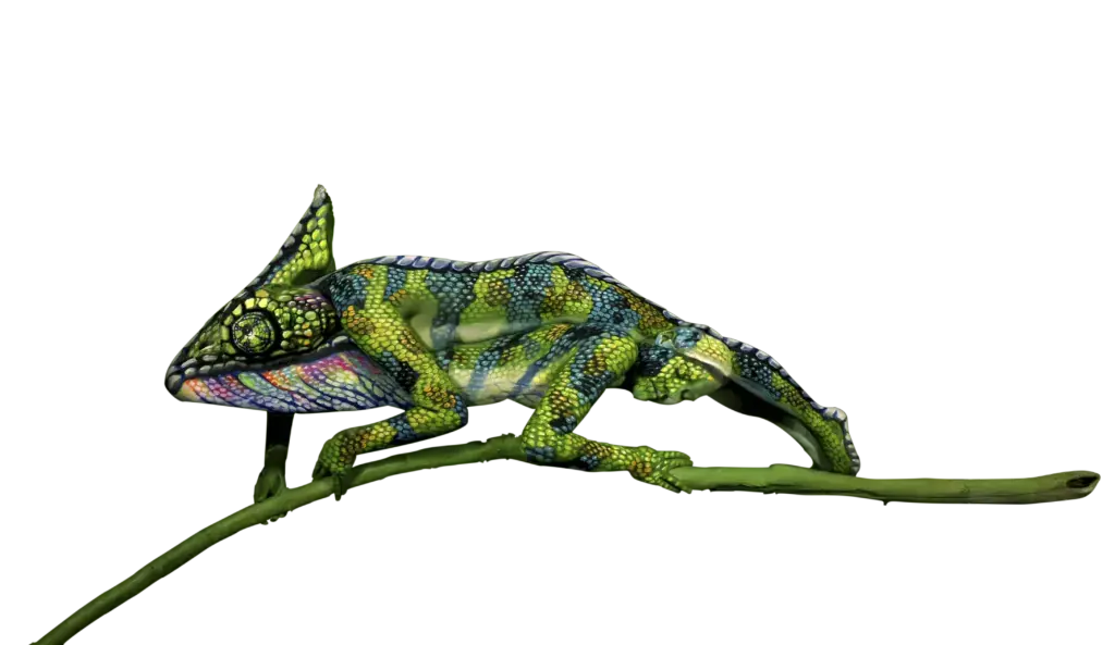 chameleon