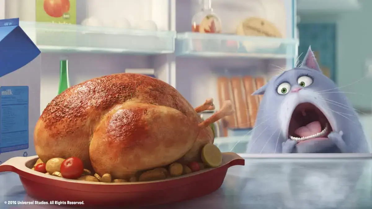 The Secret Life of Pets is available to download now and comes to Blu-ray and DVD on 14th November!