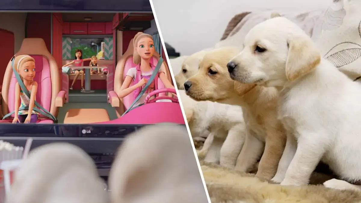 Puppies watch Barbie & Her Sisters in a Puppy Chase in an exclusive puppy premiere!
