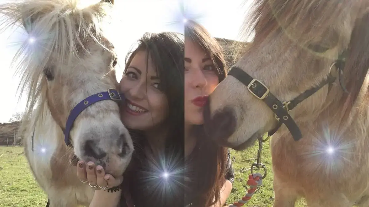Anna Louise’s selfies with her miniature horses!