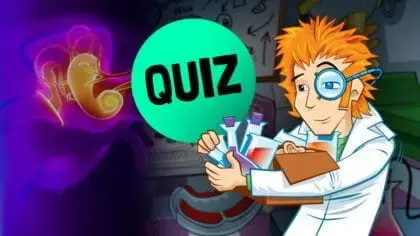 Take Professor Hallux’s Hearing Helpdesk quiz and test your hearing knowledge!