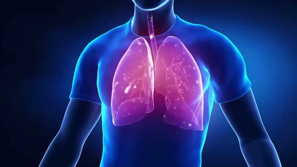 What happens when we breathe and how does breathing work?
