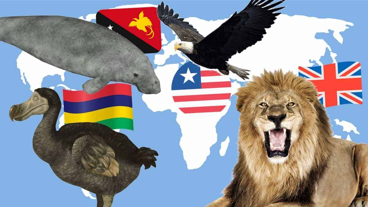 National animals around the world: Eagles, lions, tigers, and more! - Fun  Kids - the UK's children's radio station