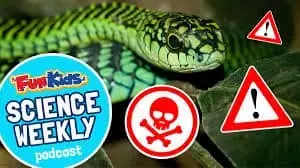 Butterflies, moths and the deadly boomslang snake in this week’s Science Weekly Podcast with Dan!
