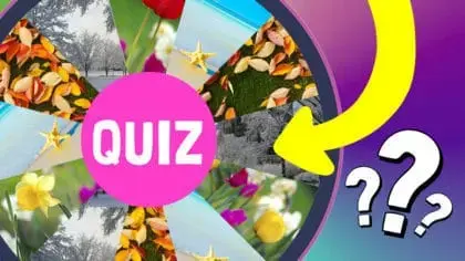 Which season are you? Take this quiz and find out!