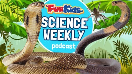 Snakes, spiders and a laughing sickness in this week's Fun Kids Science ...