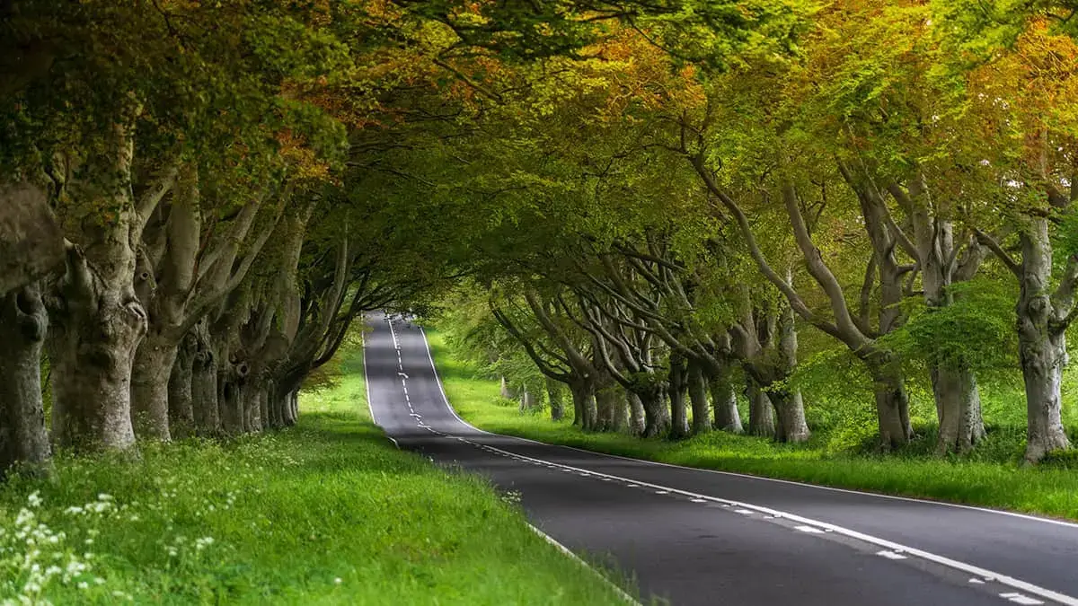 What makes a great road?